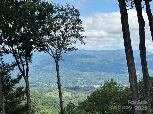 Land for sale in Yancey, North Carolina