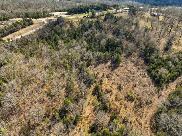 Land for sale in Gainesville, Missouri