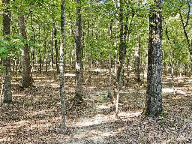 Land for sale in Indian Trail, North Carolina