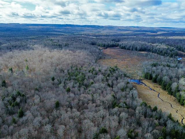 Land for sale in Salisbury Center, New York