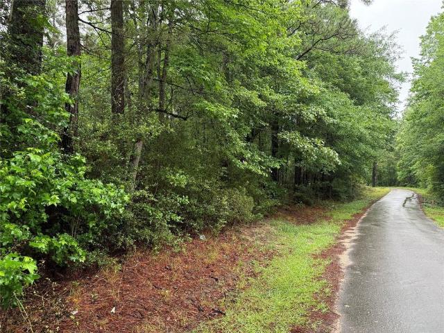 Land for sale in Zavalla, Angelina County