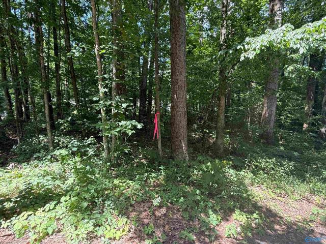 Land for sale in Grant, Alabama