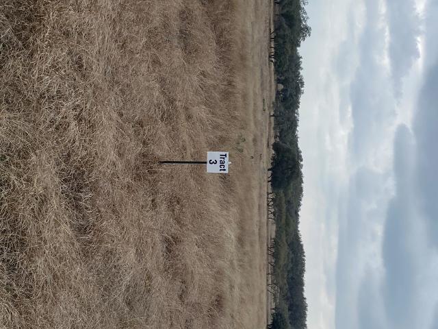 Land for sale in Doss, Texas