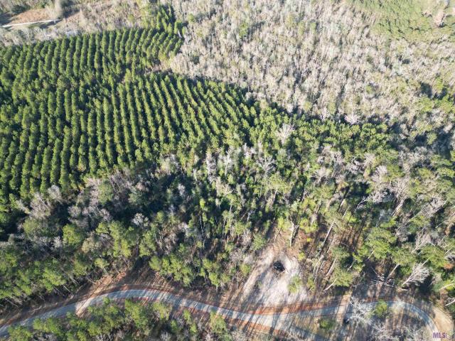 Land for sale in Louisiana