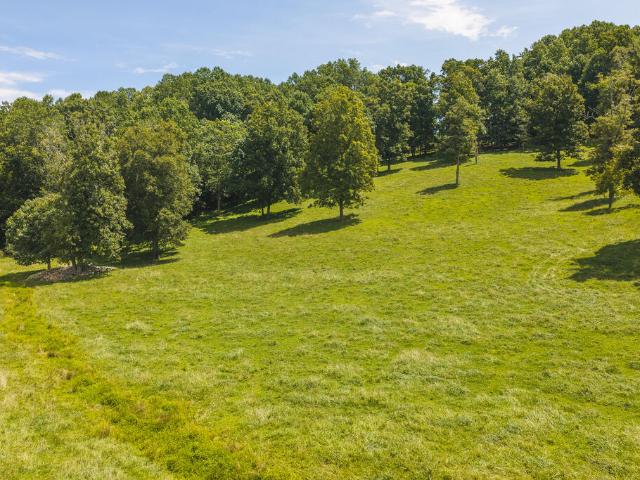 Land for sale in Virginia