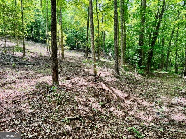 Land for sale in Blairsville, Georgia