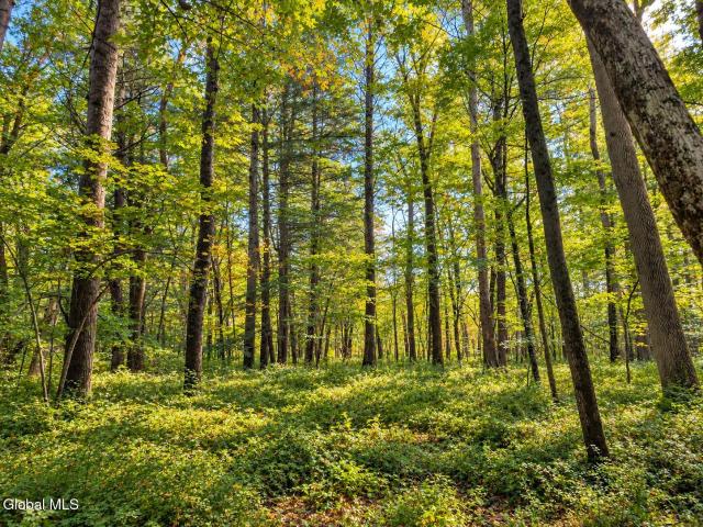 Land for sale in Richmond, West Stockbridge