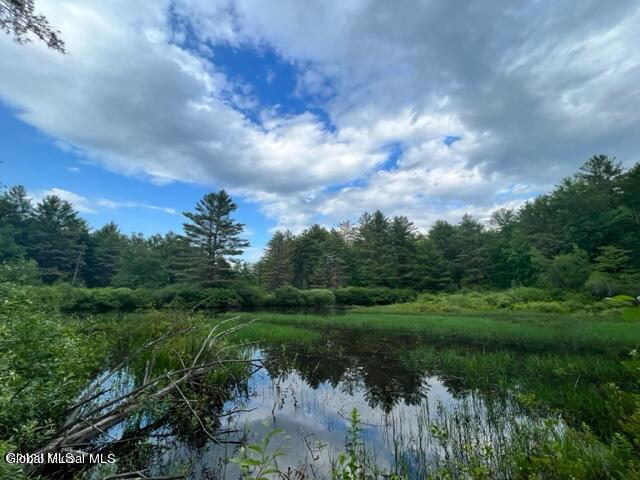 Land for sale in Gloversville, New York