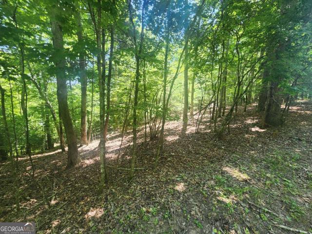 Land for sale in Morganton, Georgia