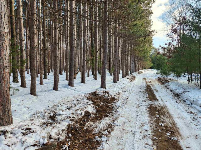 Land for sale in Packwaukee, Wisconsin