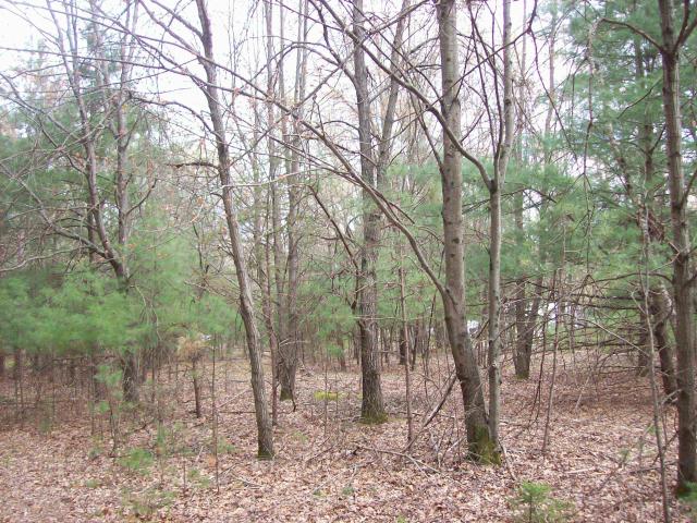 Land for sale in Packwaukee, Wisconsin