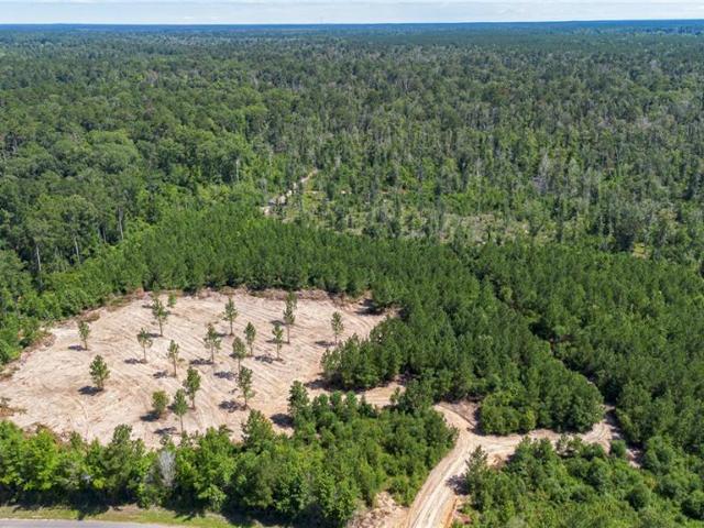 Land for sale in Pitkin, Louisiana