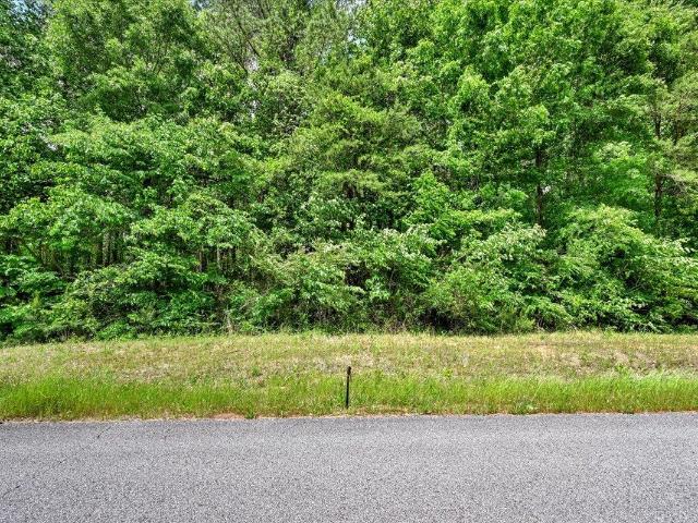 Land for sale in Falkville, Alabama