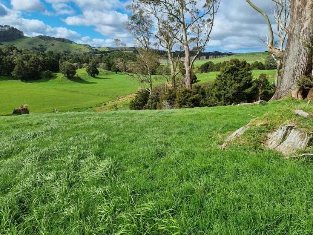 Property for sale in Taipuha, Northland