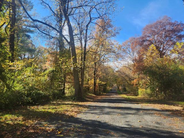 Land for sale in Cecil, Maryland