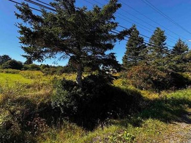 Land for sale in Grand Desert, Halifax County