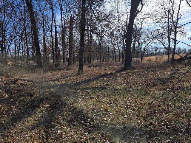 Land for sale in Archie, Missouri