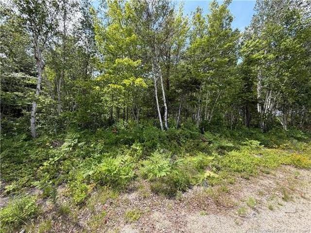 Land for sale in Miramichi, New Brunswick