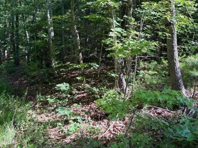 Land for sale in Tennessee
