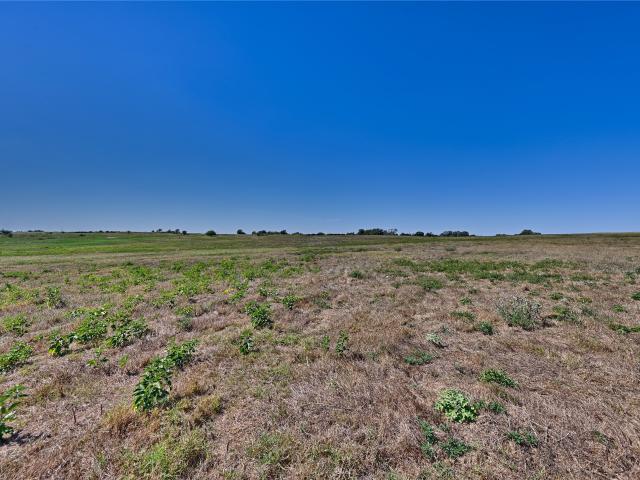 Land for sale in Chappell Hill, Texas