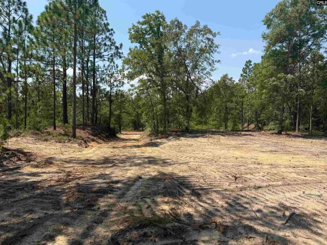 Land for sale in Darlington, South Carolina