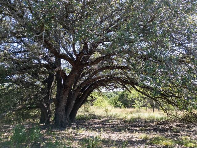 Land for sale in Hamilton, Texas