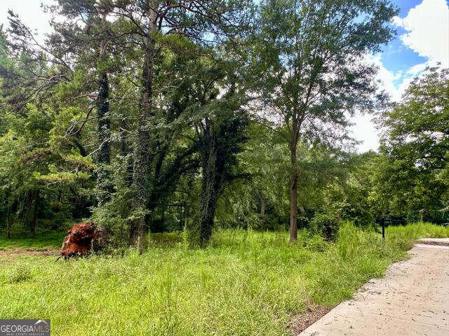 Land for sale in Pendergrass, Georgia