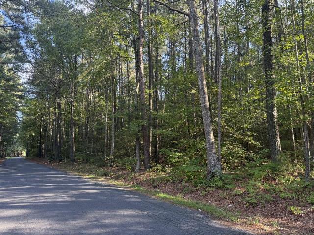 Land for sale in Virginia