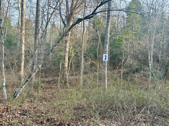 Land for sale in Laurel, Kentucky