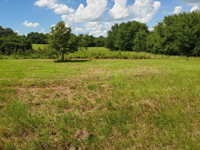 Land for sale in Rains, Texas