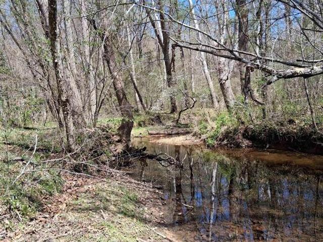 Land for sale in Virginia