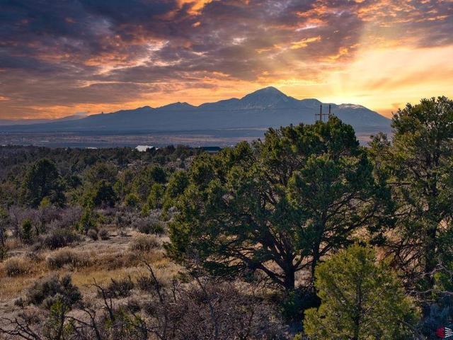Land for sale in Montezuma, Colorado