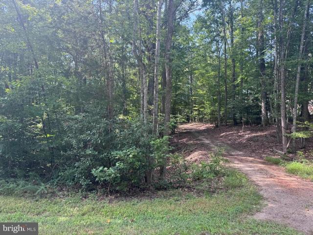 Land for sale in Virginia