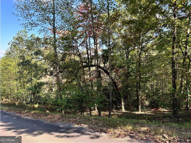 Land for sale in Young Harris, Georgia