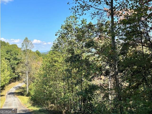 Land for sale in Young Harris, Georgia