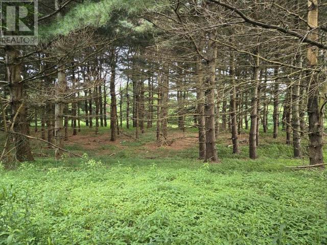 Land for sale in Colchester, Nova Scotia