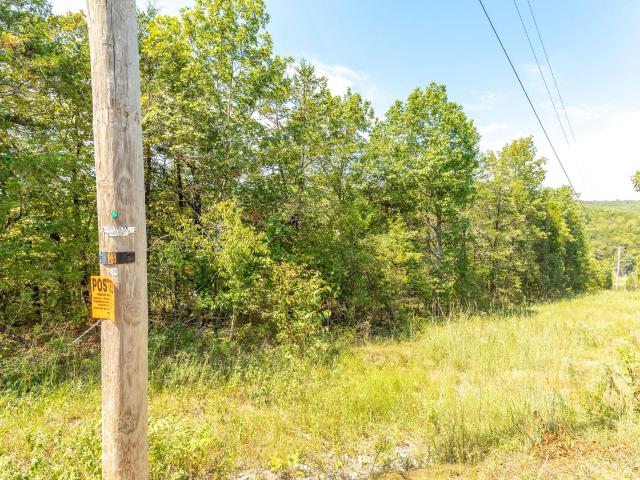 Land for sale in Kirbyville, Missouri