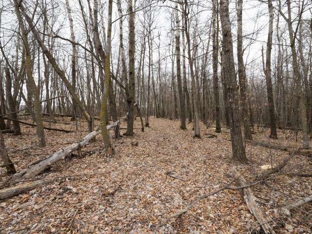 Land for sale in Becker, Minnesota