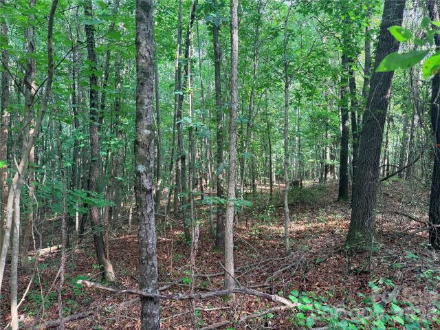 Land for sale in Lawndale, North Carolina