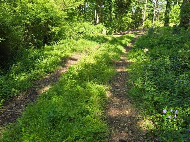 Land for sale in Maryland