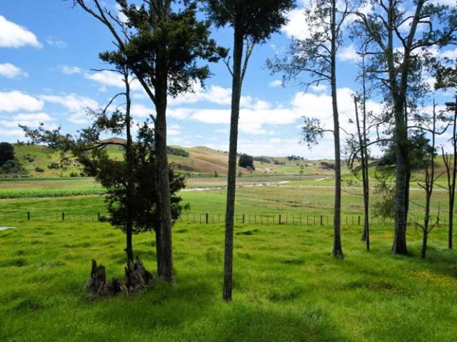 Property for sale in Arapohue, Northland