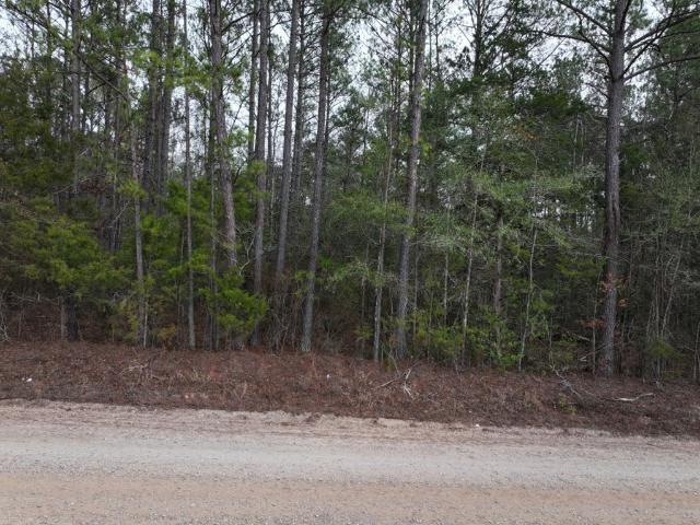 House for sale in Hamilton, Georgia