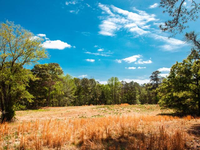 Land for sale in Thomson, Georgia