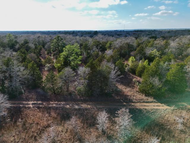 Land for sale in Paige, Texas