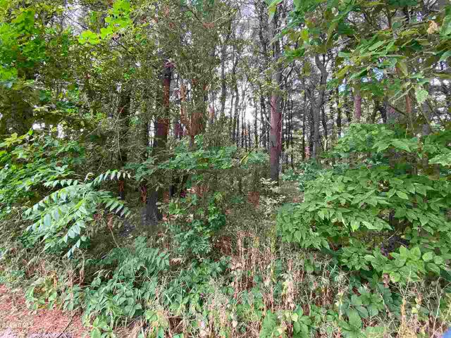 Property for sale in Illinois