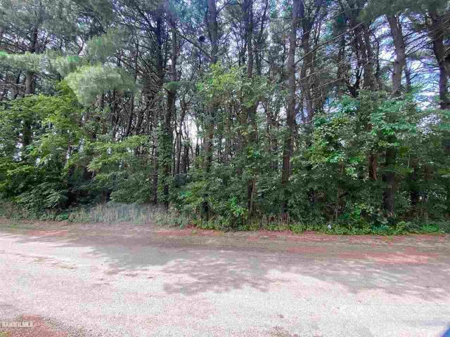 Land for sale in Thomson, Illinois