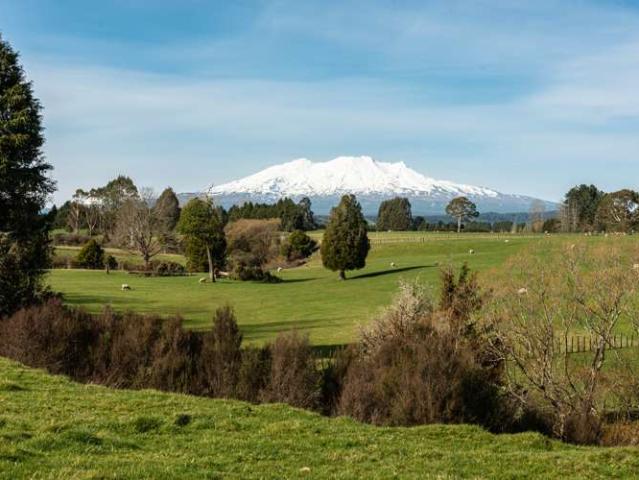 Property for sale in Ruapehu District