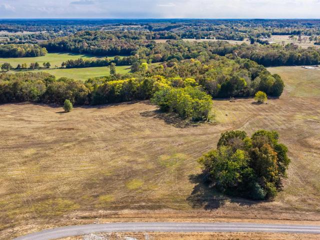 Land for sale in Quitman, Cleburne County