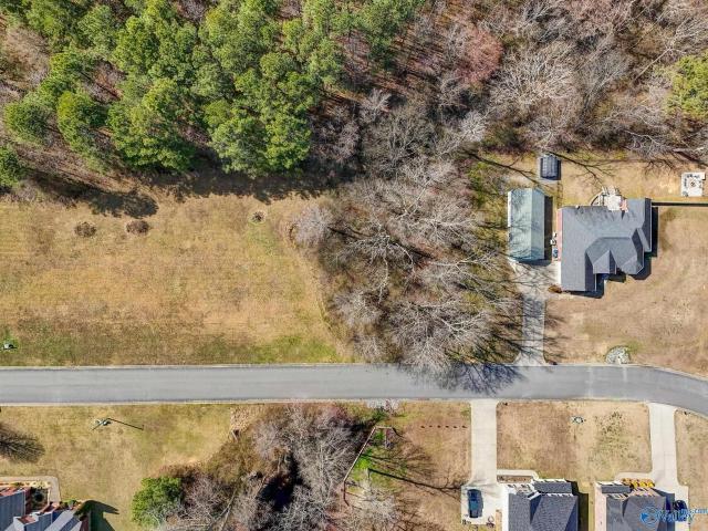 Land for sale in Arab, Alabama