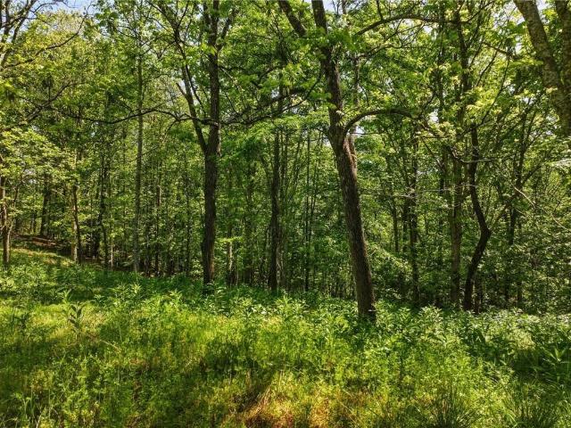 Land for sale in Dahlonega, Lumpkin County